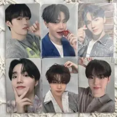 treasure ドヨントレカ　ソウル　ygselect ktown シーグリ