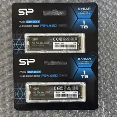 SP製 M.2インチ SSD 1TB 2個セット！