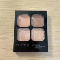 ケイト　ポッピングシルエットシャドウ　RD-1 　ロージーポップ