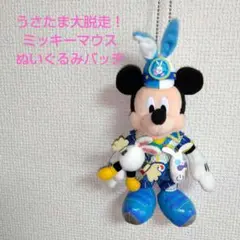 ディズニーランド　イースター　うさたま　ミッキー　ぬいぐるみバッジ