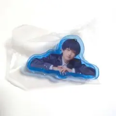 エーステ アクリルクリップ 紬