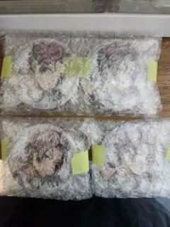 ブルーロック Flower Cage 缶バッジ 糸師冴