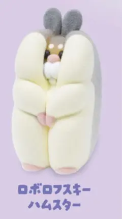 すきまハムスターロボロフスキー ハムスター