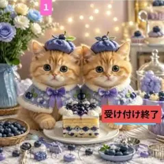 フラットポーチ♥オーダー受け付けページ♥仲よし双子のネコちゃん