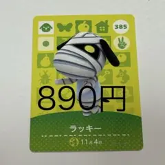 ラッキー カード 385 890円