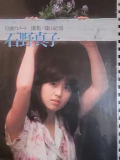 石野真子 グラビア　切り抜き