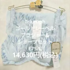 E75/Lトリンプ♥ゴールドレーベル　最高級ブラジャー&ショーツ　セット