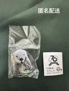 2025年最新】鳥羽水族館 70周年の人気アイテム - メルカリ