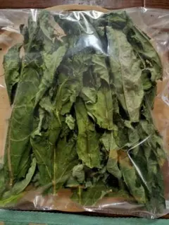 Item thumbnail for item e4a442f9-8551-4fe5-9714-519050ffd429