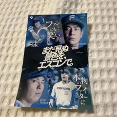 ファイターズ　ステッカー