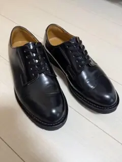 Danner / ダナー：POSTMAN SHOES サイズUS7