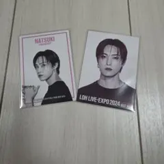 FANTASTICS 堀夏喜 LDHEXPO 2枚セット
