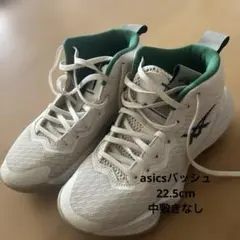 ASICS バスケットボールシューズ 22.5cm 中敷きなしのサムネイル