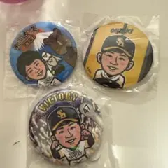 ホークス 若鷹ガチャ 2026 缶バッジ 後半戦 ペア ver. 4個セット