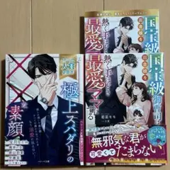 ベリーズ文庫新刊　2冊　国宝級御曹司は田舎娘を熱く手ほどき最愛ママにする