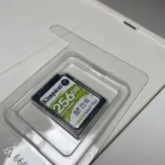 Kingston v30 sdxc 256gb canvas select