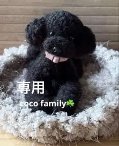 羊毛フェルト 毛糸 トイプードル（ブラック）専用❣️のサムネイル