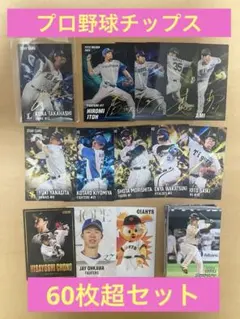 プロ野球チップス 侍ジャパン Amazon限定レインボーサインカード 虹