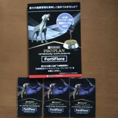 2025年最新】フォーティフローラの人気アイテム - メルカリ