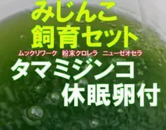 あおひな様 リクエスト 2点 まとめ商品