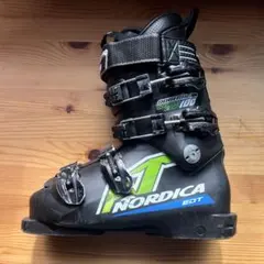 World Cup 100 Doberman ノルディカ24cm 280mm