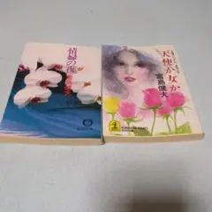 天使か女か　情婦の夜　高島健夫 作品2冊セット