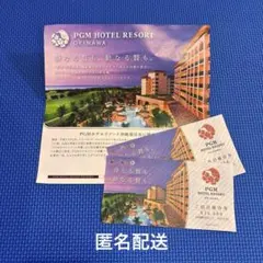 PGM HOTEL RESORT沖縄 宿泊優待券2万円分のサムネイル