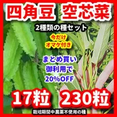 yuttan様 リクエスト 2点 まとめ商品