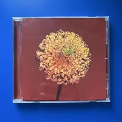 Mountain Top/Shape Of Miracle