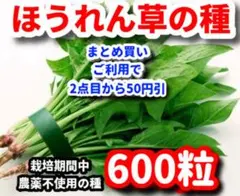 ほうれん草の種【600粒】⭕️のサムネイル