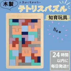 知育玩具　モンテッソーリ　木製　テトリスパズル　型はめ　パズル　　子供　おもちゃのサムネイル