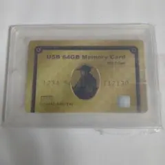 USDメモリー　クレジットカード風　64GB