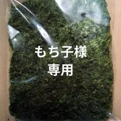 もち子様専用