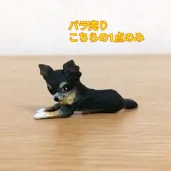 【バラ売り】チワワ 1匹