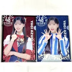 向井地美音 ウェンディーズ コラボ クリアファイル2種 AKB48 - メルカリ