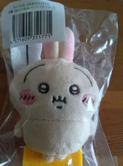 うさぎだらけくじE賞　フッー