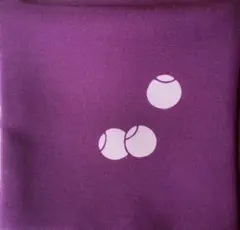 Item thumbnail for item 3575aee8-e62e-4b89-8387-459ba7526ea9