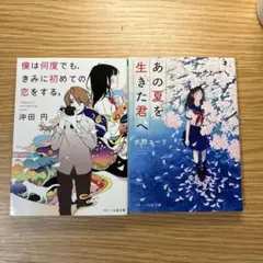 スターツ出版文庫 2冊セット 小説