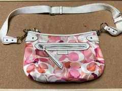 Item thumbnail for item dae0c38d-4861-48b0-9b3c-a82ccf0e0f3d