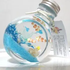 小さな水族館 涼しげな海ハーバリウム/