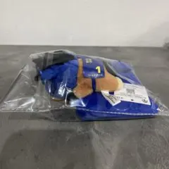 第83回皐月賞 ソールオリエンス ぬいぐるみ付き思い出馬券キーホルダー