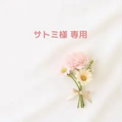 【専用】2点セット　ちいさな鉱石＆ラベル ×2点