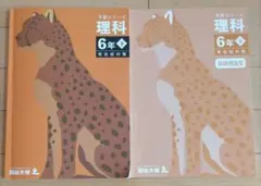 予習シリーズ　理科 6年生 下　有名校対策　別冊例題集付　四谷大塚