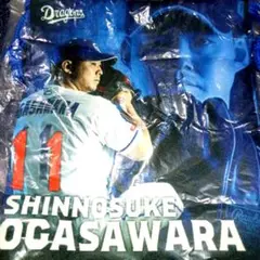 Item thumbnail for item 14de9d40-3db7-4518-b88a-bd743e6799e6