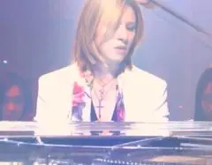 YOSHIKI CIVARIZE フラワー柄シフォンストール ホワイト×レッド