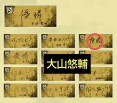 阪神タイガース 開幕意気込み タオル 大山