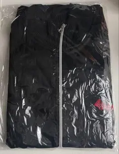 Item thumbnail for item b9f7b395-44c9-446f-8d92-714ff277f538