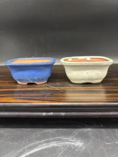 2026年最新】盆栽鉢 長方形の人気アイテム - メルカリ