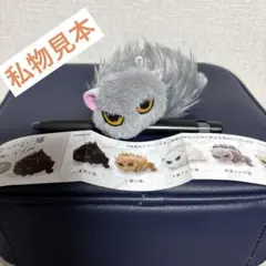 なつかない猫 ぬいぐるみ 魚屋さんの猫