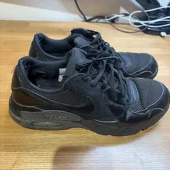 Nike Air Max ブラックスニーカー
